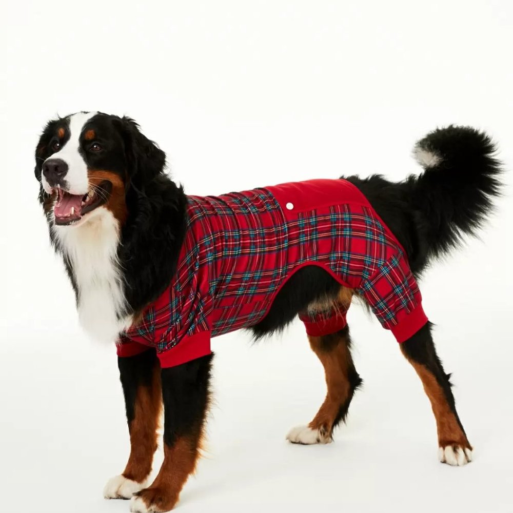 Family Pajamas Pet Matching Brinkley Plaid Pajamas